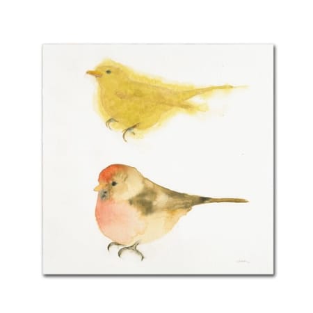 Shirley Novak 'Watercolor Birds I Sq' Canvas Art,14x14